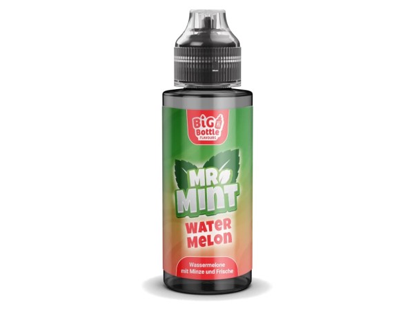 Big Bottle Mr. Mint - Watermelon 10 ml